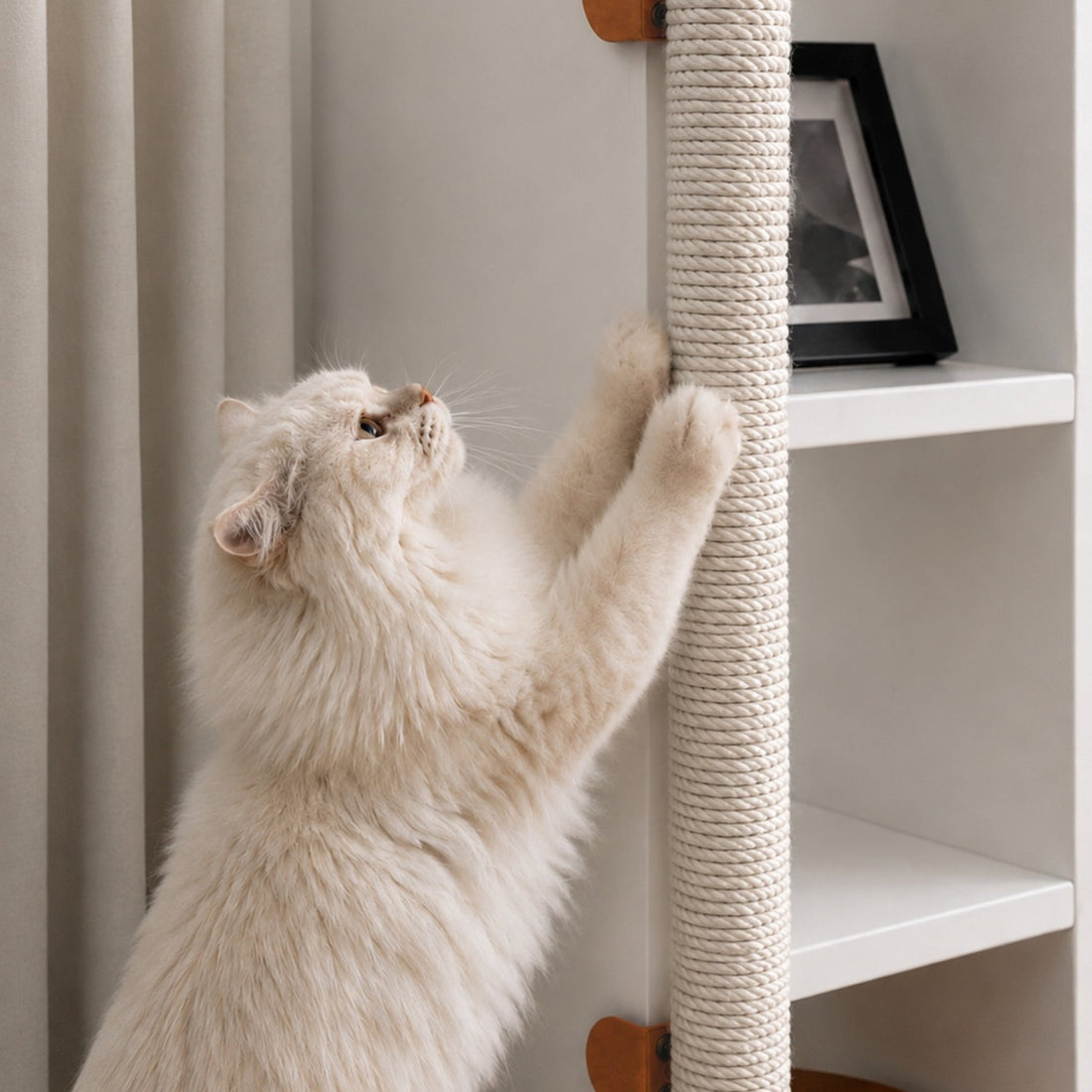 White cat using a clamp-on scratching post attached to a white bookshelf