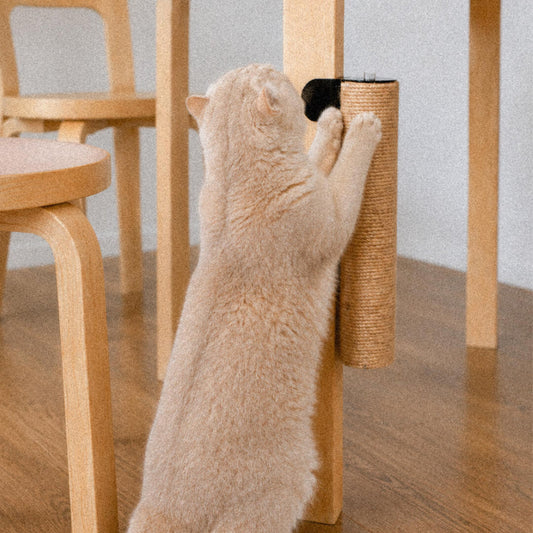 Cat stretching against a clamp-on scratching post attached to a wooden table
