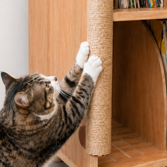 Cat stretching against a scratching post mounted on living room furniture