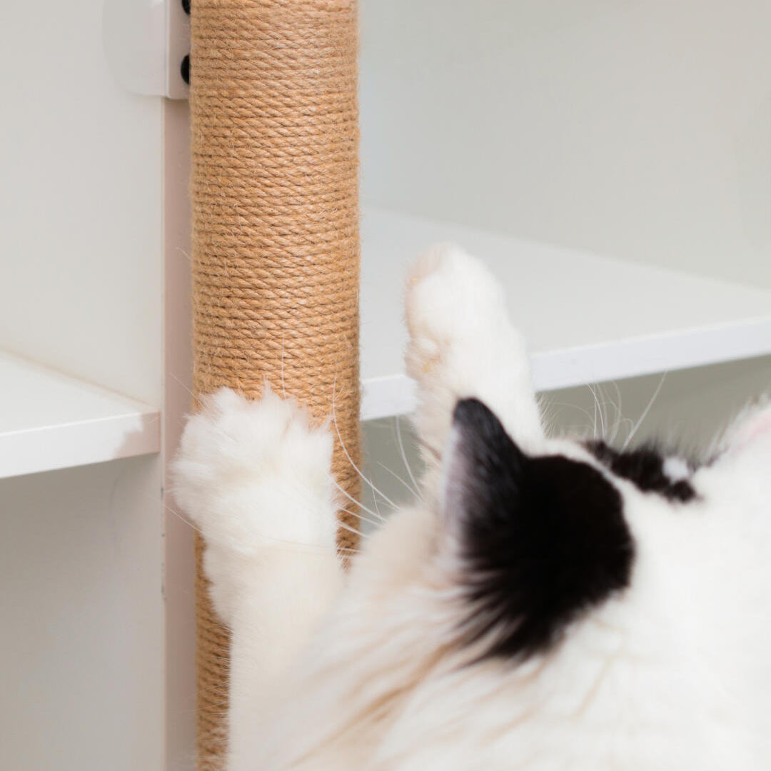 Cat scratching a no-drill clamp-on sisal post attached to a white shelf, showing the product in use for small-space homes.