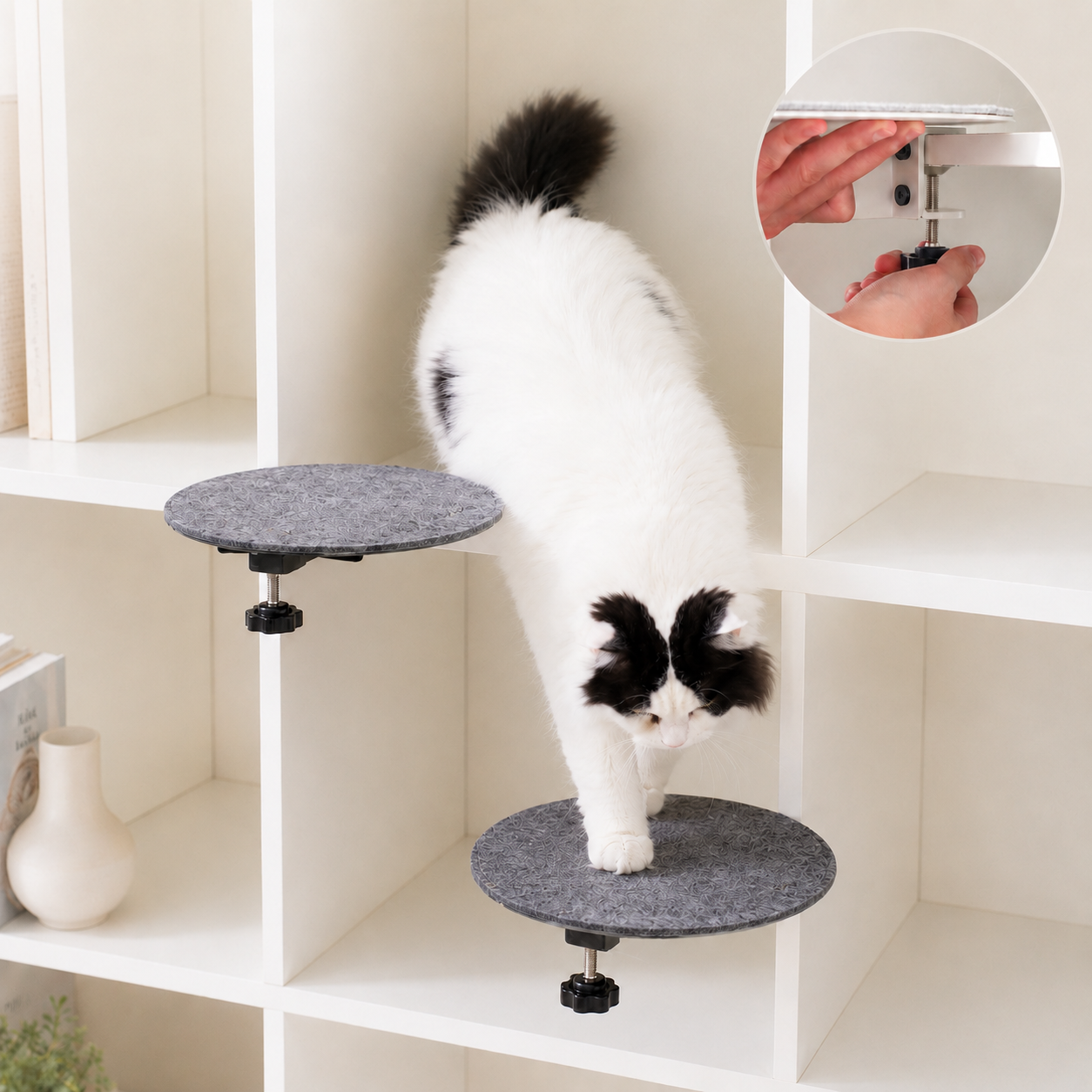 Black and white cat stepping between two gray felt clamp-on shelves in a bookcase