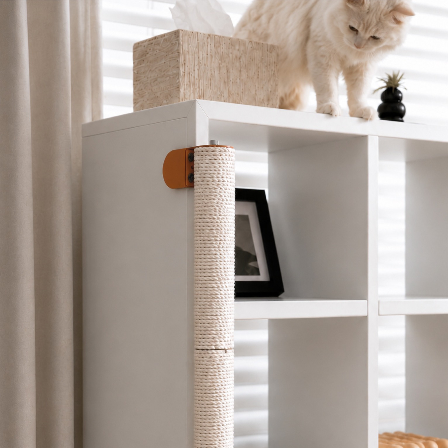 White cat beside a full-height white sisal double-section scratching post with terracotta clamps