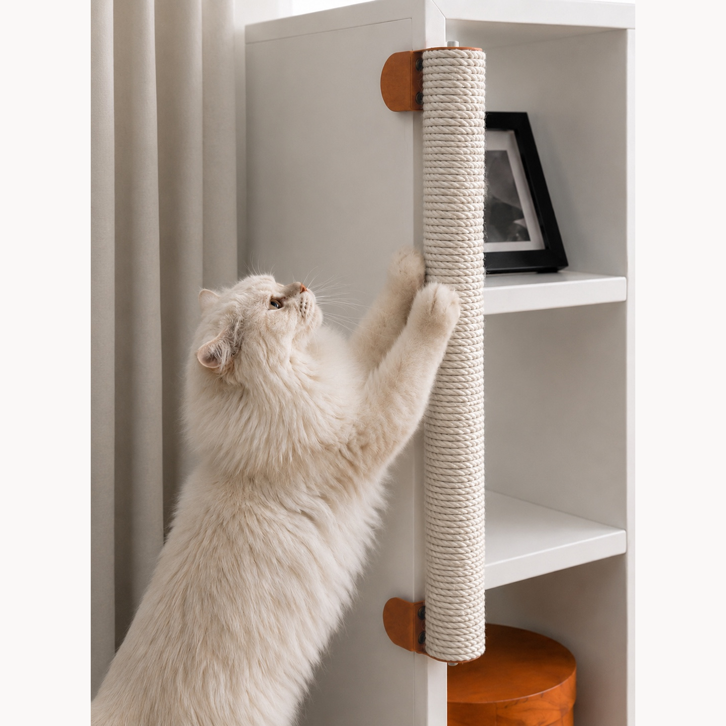 White cat scratching a full-height white sisal post clamped to a bookcase